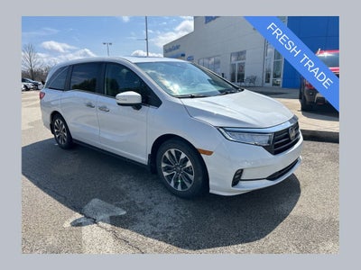 2023 Honda Odyssey EX-L