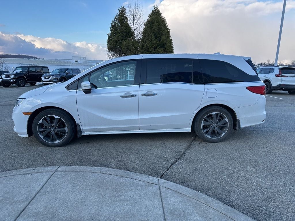 2024 Honda Odyssey Elite